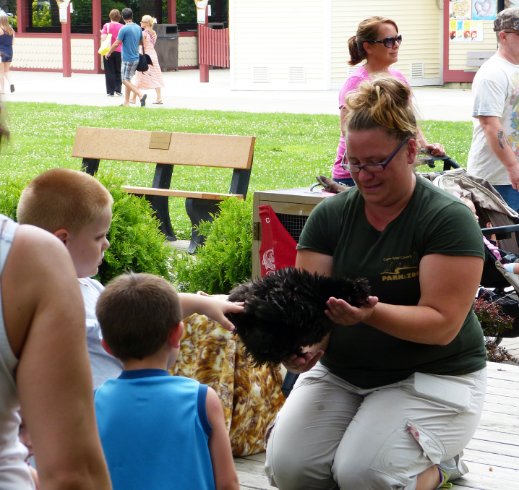 Petting the chicken